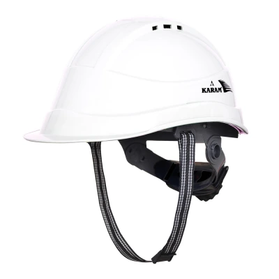 Safety Helmet PN 542